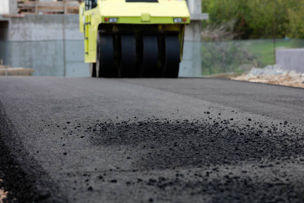 Best Decorative Driveway Pavers  in Farmville, VA