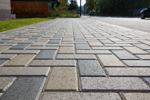 Best Professional Driveway Pavers  in Farmville, VA