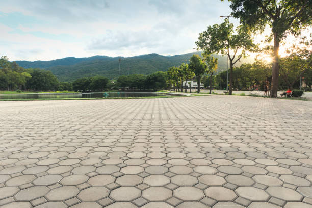 Residential Paver Driveway in Farmville, VA